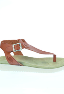 DAYNA4242S6-Y1_BRW
